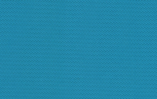 Bird Eye Polyester fabric 